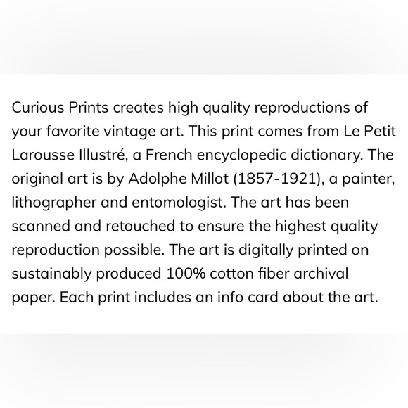 Vintage Papillons Print | Adolphe Philippe Millot ( 1857 – 1921, Paris ) - Picture 3 of 6